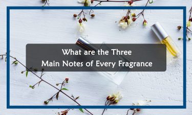 What are the Three Main Notes of Every Fragrance