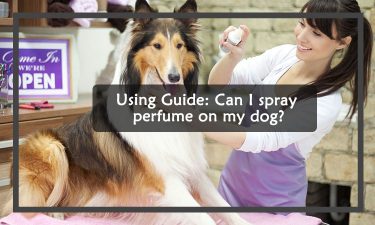 Can I spray perfume on my dog