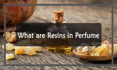 What are Resins in Perfume